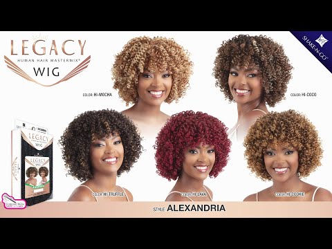 Shake N Go Legacy Human Hair Mastermix Full Wig - ALEXANDRIA