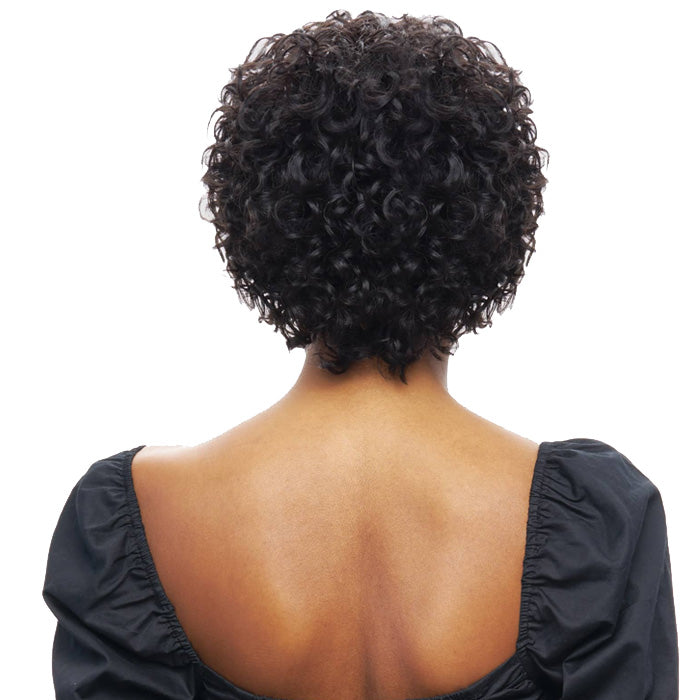 Vanessa Vixen 100% Human Hair Full Wig - HJH DALAN – Ebonyline